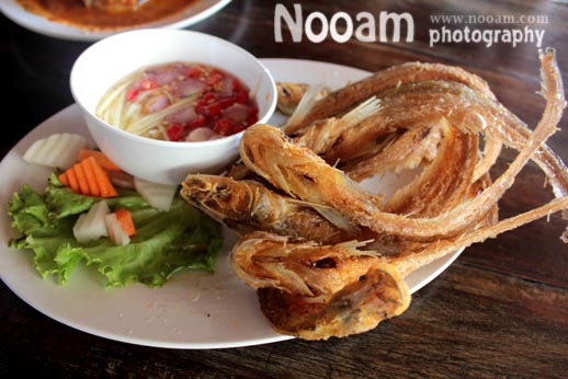 รีวิว ร้านต้นน้ำ ร้านอาหารริมน้ำ กุ้งเผาตัวใหญ่ อาหารอร่อย บางปะอิน อยุธยา